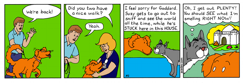 acedev comic, webcomic for Friday 28 Jul 2017
